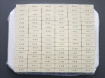 MKT 1,0 µF - 250 V- ARCOTRONICS